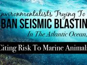 Environmentalists Trying To Ban Seismic Blasting In The Atlantic Ocean, Citing Risk To Marine Animals