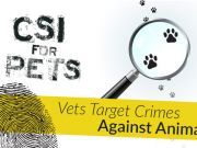 CSI For Pets — Vets Target Crimes Against Animals