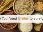 Do You Need Grains To Survive?