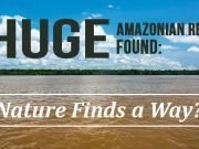 Huge Amazonian Reef Found: Nature Finds A Way?