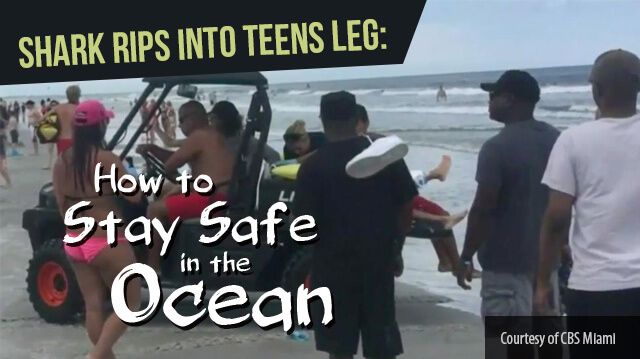 sharkripsintoteensleg_640x359