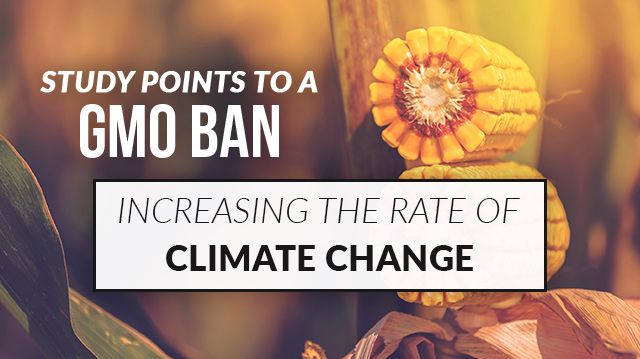 studypointstoagmobanincreasingclimatechange_640x359