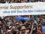 Bernie Supporters: What Will They Do After California?