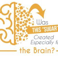 wasthissugarcreatedforthebrain_568x439