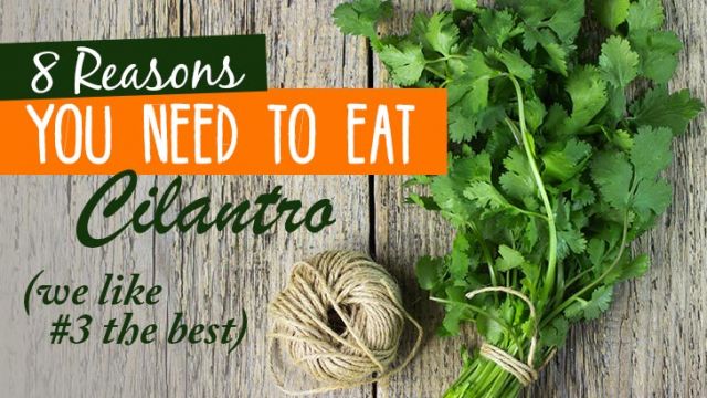 8reasonstoeatcilantro_730x410