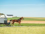 What the Amish Understand About Our Healthcare System That We Don’t