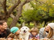 Family Reunited With Dog Missing For Four Years