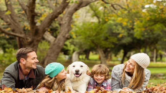 Family Reunited With Dog Missing For Four Years