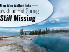 Instant Death: Man Falls Into Yellowstone Geyser, No Body Recovered