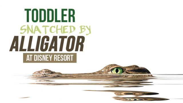 ToddlerSnatchedByAlligatorAtDisneyResort_730x410