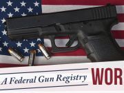 Does a Federal Database of Gun Owners Make Sense?