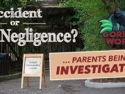 Parents of Boy Rescued From Gorilla Investigated: Accident Or Negligence?