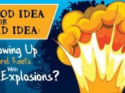 Good Idea Or Bad Idea: Blowing Up Coral Reefs With Explosions?
