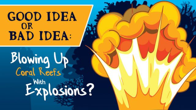 blowingupcoralreefsexplosions_730x410 (1)