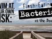 Swim At Your Own Risk: Flesh-Eating Bacteria at the Beach