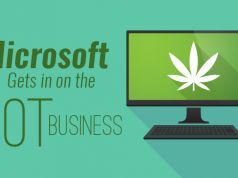 Microsoft Fires Up the Legal Weed Business