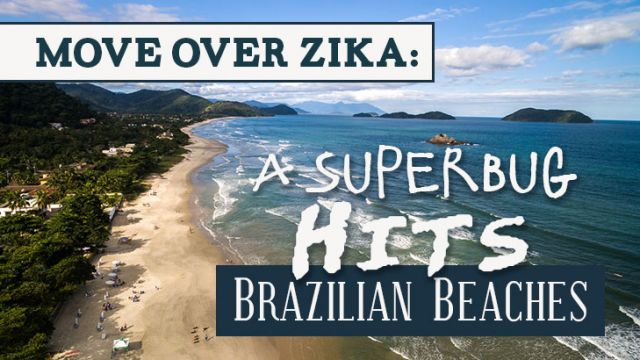 superbughitsbrazilianbeaches_730x410