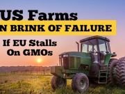 US Farms On Brink Of Failure If EU Stalls On GMOs