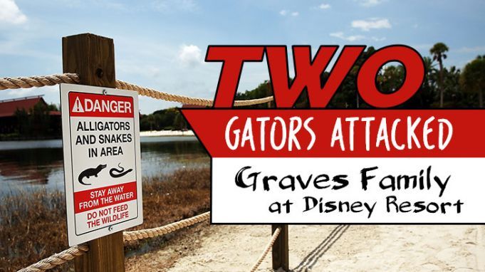 Two Gators Attacked Graves Family at Disney Resort