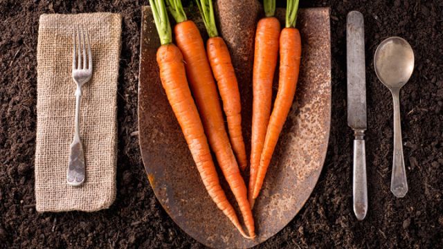 carrots-are-great-for-health