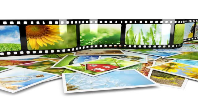 11 Films That Will Inspire Your Love Of Nature