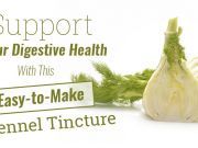 Support Your Digestive Health With This Easy-to-Make Fennel Tincture