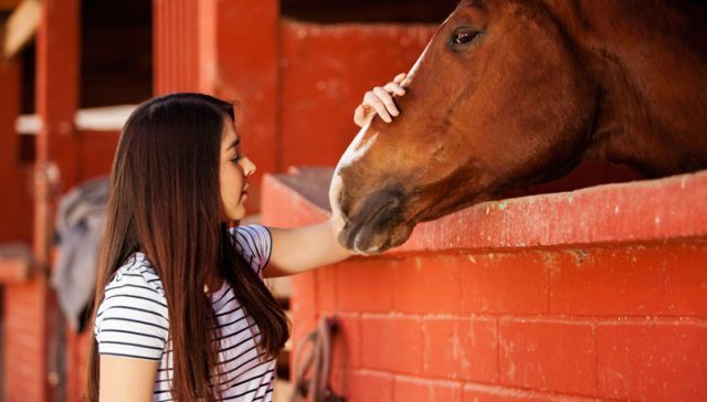 Equine Therapy Benefits Patients With Physical And Mental Disorders