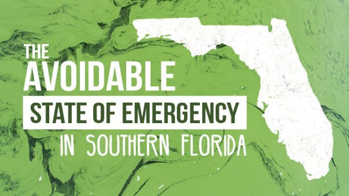 The Avoidable State of Emergency in Southern Florida