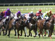 Middle Schooler Uses His Own Money To Save A Racehorse