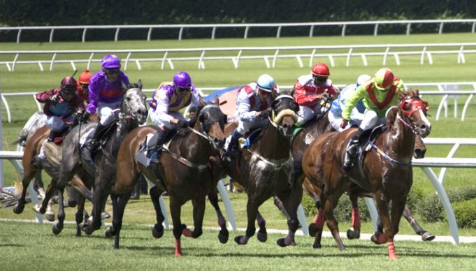 Middle Schooler Uses His Own Money To Save A Racehorse