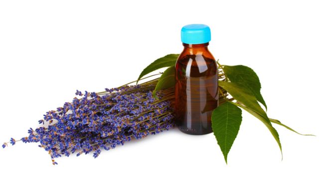 lavendar-essential-oil-is-a-great-headache-remedy