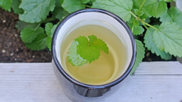 lemon-balm-tea