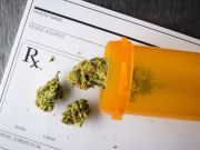 Can Marijuana Prevent Alzheimer’s?