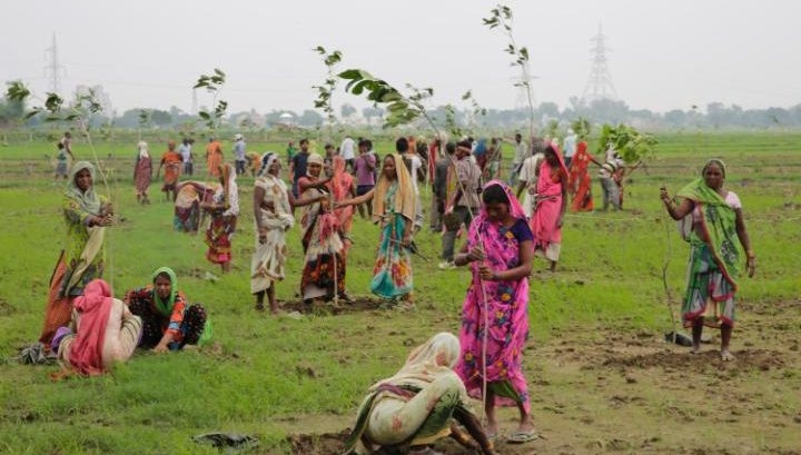 Indian women plant saplings in the attempt to set a record (Photo credit: AP Photo/Rajesh Kumar Singh)