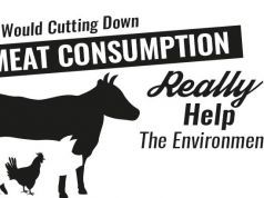 Would Cutting Down Meat Consumption Really Help The Environment?