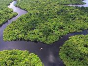 8 Great Environmental Groups To Support