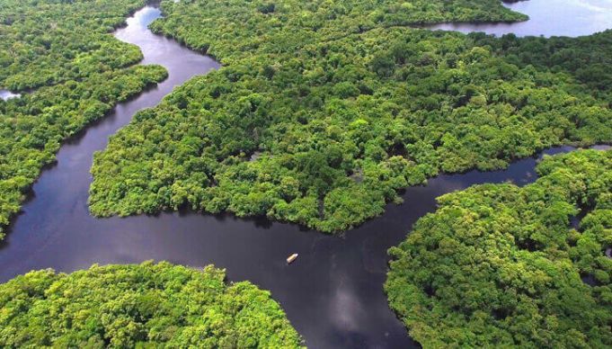8 Great Environmental Groups To Support