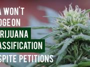 DEA Won’t Budge On Marijuana Classification Despite Petitions