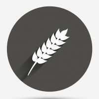 Gluten free sign icon. No gluten symbol.