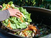 9 Ways To Be An Environmentalist In Your Own Home