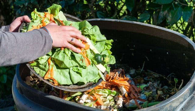 9 Ways To Be An Environmentalist In Your Own Home