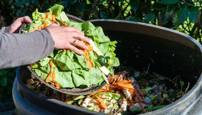 9 Ways To Be An Environmentalist In Your Own Home