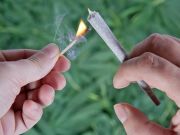 Should I Smoke Herbs?