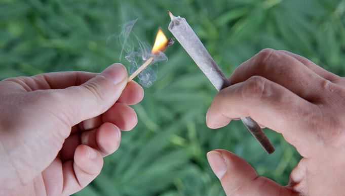 Should I Smoke Herbs?