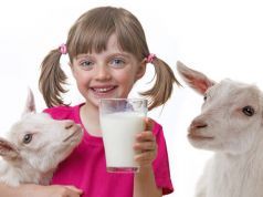 5 Reasons To Drink Raw Goat’s Milk