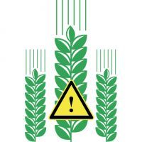 Caution Grains