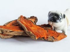 Your Dog Will Love These Simple Sweet Potato Treats