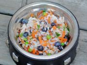Why You Should Switch Your Dog’s Diet To ‘Human Food’