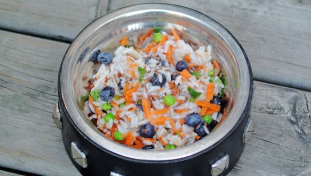 Why You Should Switch Your Dog’s Diet To ‘Human Food’