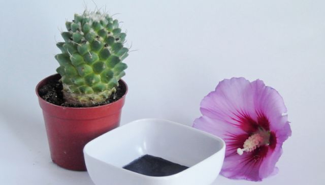 Say Bye-Bye To Blackheads With This Activated Charcoal Mask